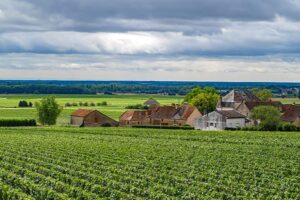 De Franse Bourgogne