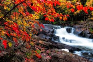 Algonquin national park