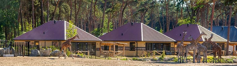 Beekse Bergen Overnachten