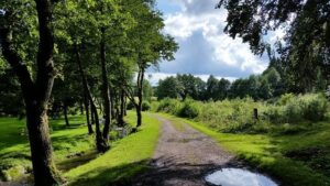 Belgische Ardennen