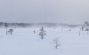 to dos voor Finland in de winter