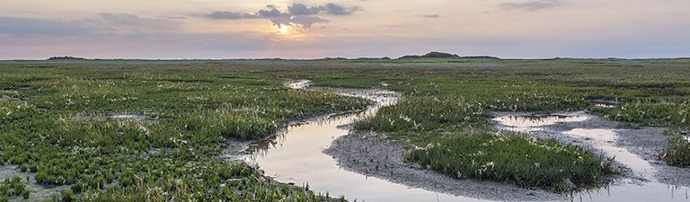 Wat moet je weten voor een topvakantie op Schiermonnikoog