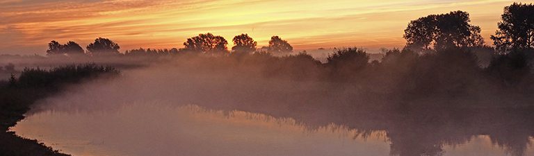 Natuur in Gelderland