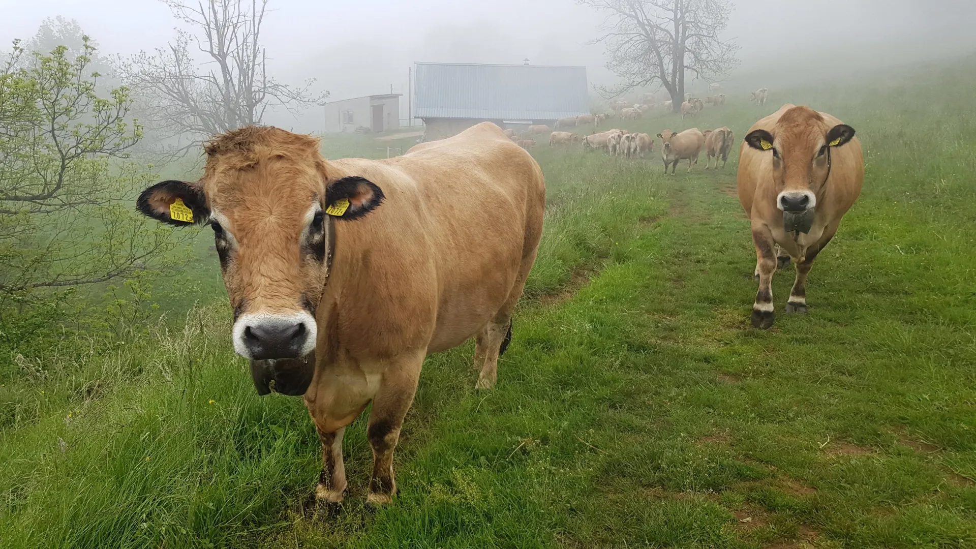 Reistips en ervaringen Zwitserland