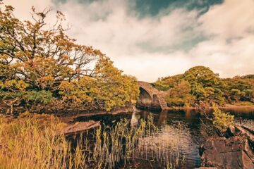 Nationaal Park Killarney