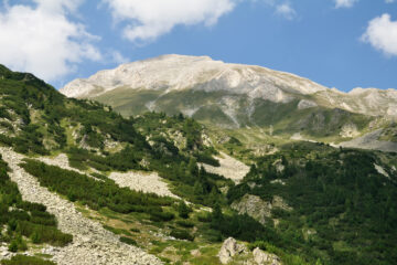 Pirin National Park