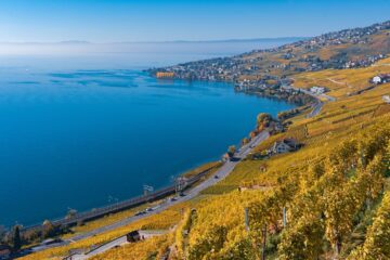 Lavaux