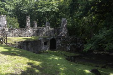 Wingfield Estate Sugar Plantation Ruins