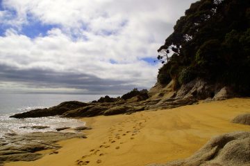 Nationaal park Abel Tasman