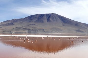 Laguna Colorada