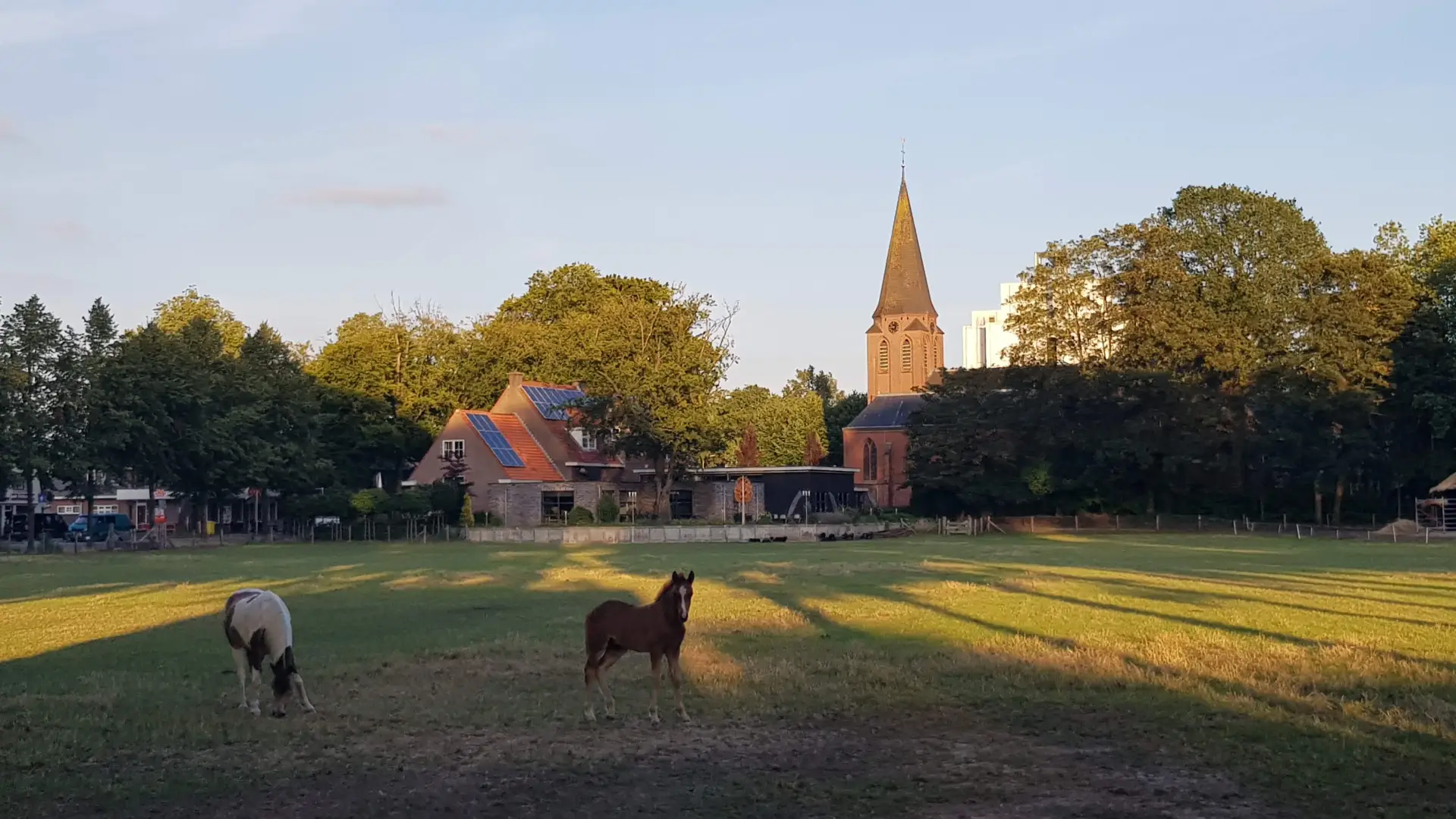 Reistips en ervaringen in Nederland