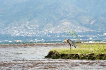 Ruzizi National Park