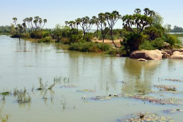 W National Park Benin