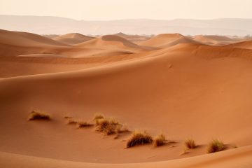 De Sahara