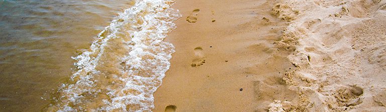 Er een weekendje tussenuit in eigen land Ontdek wat de Nederlandse kust allemaal te bieden heeft!
