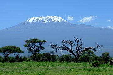 Kilimanjaro
