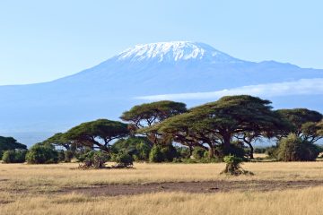 Mount Kenya National Park