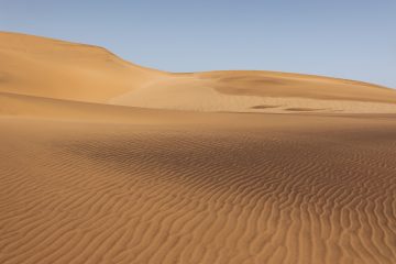 Namib Desert