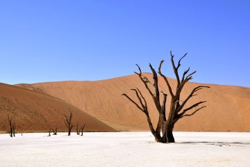 Namib-Naukluft National Park
