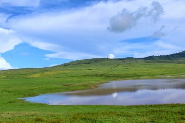 Ngorongoro