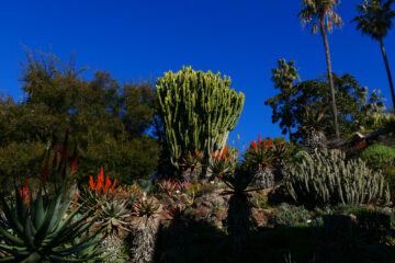 Marimurtra Botanical Garden