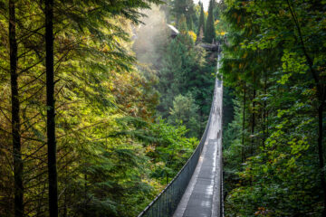 Capilano Suspension Bridge Park