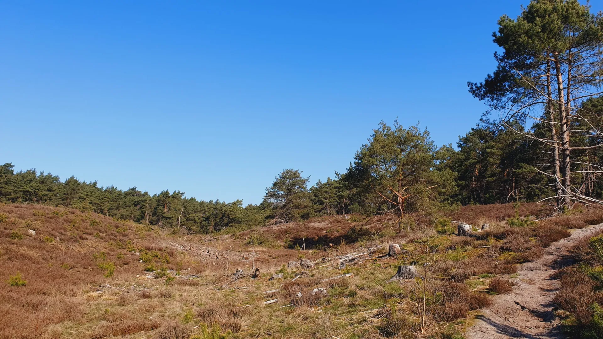 Genieten op de Sallandse Heuvelrug en Holterberg