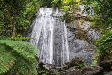 Nationaal Bos El Yunque