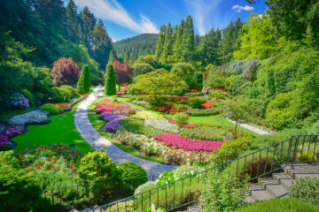 The Butchart Gardens