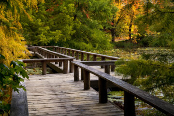VanDusen Botanical Garden