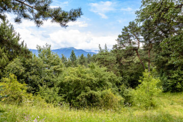 Dilijan Nationaal Park
